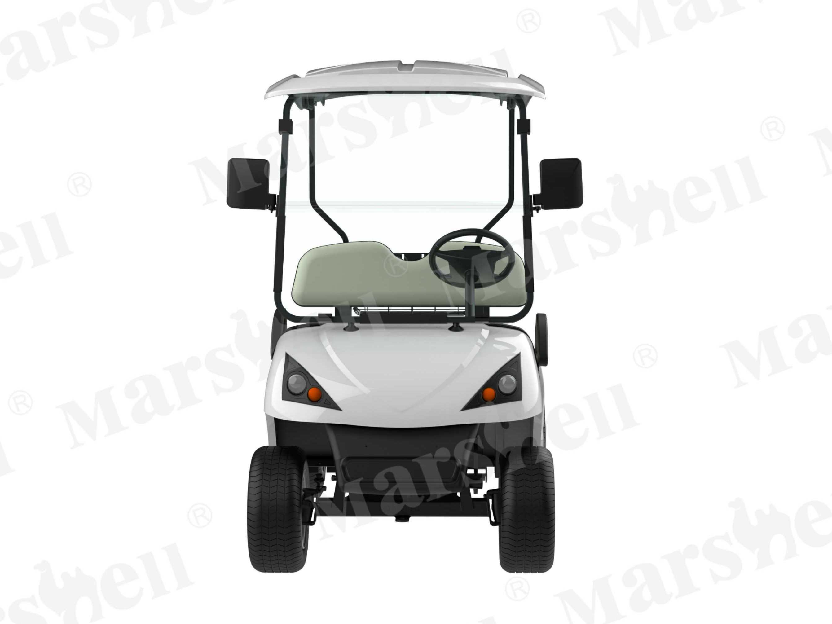 DG-C2-5 2-Seat Electric Golf Cart