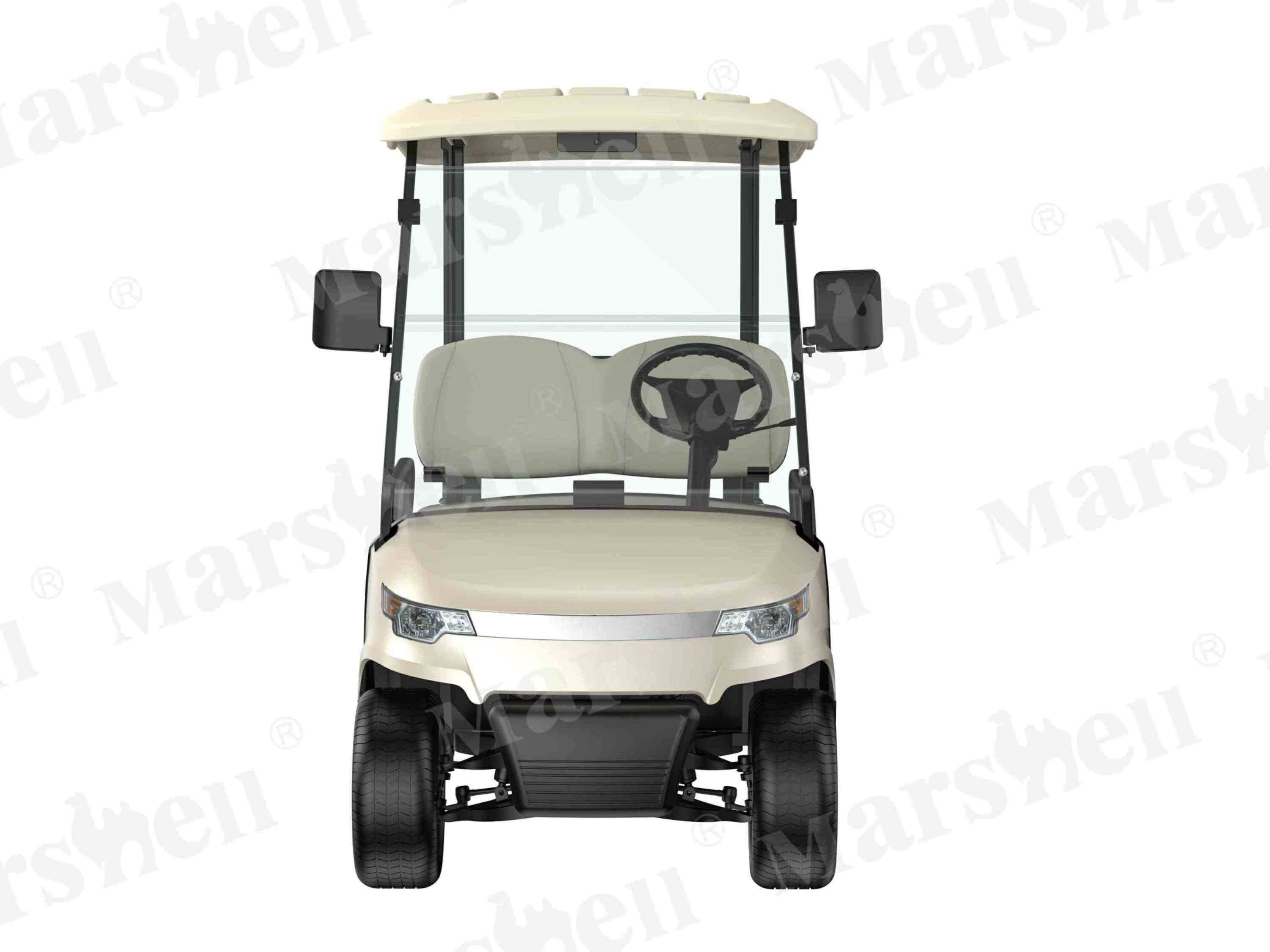 DG-C2-8 2-Seat Electric Golf Cart