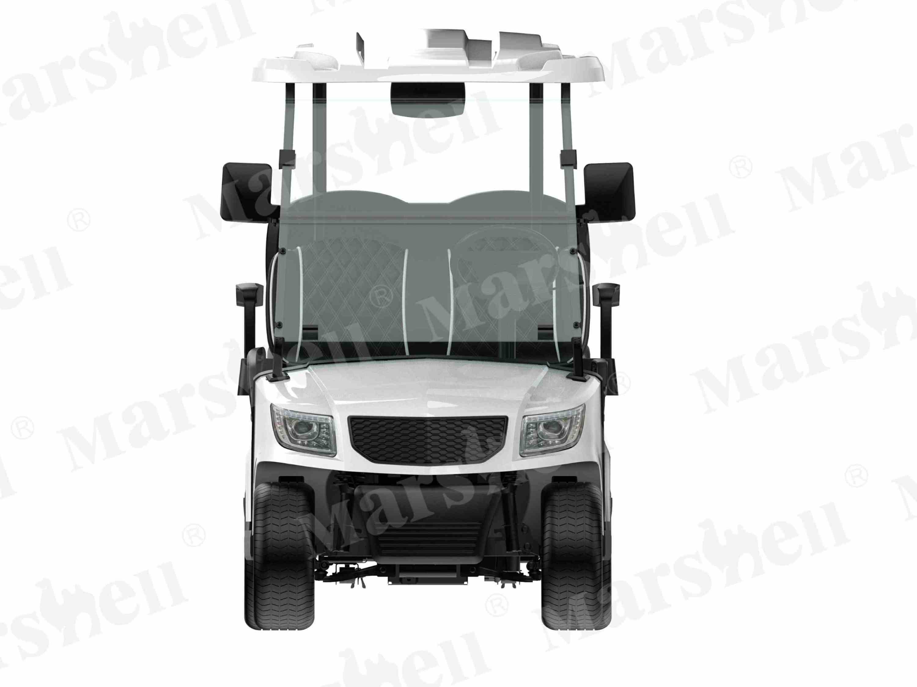 DG-M2+2 4-Seat Electric Golf Cart