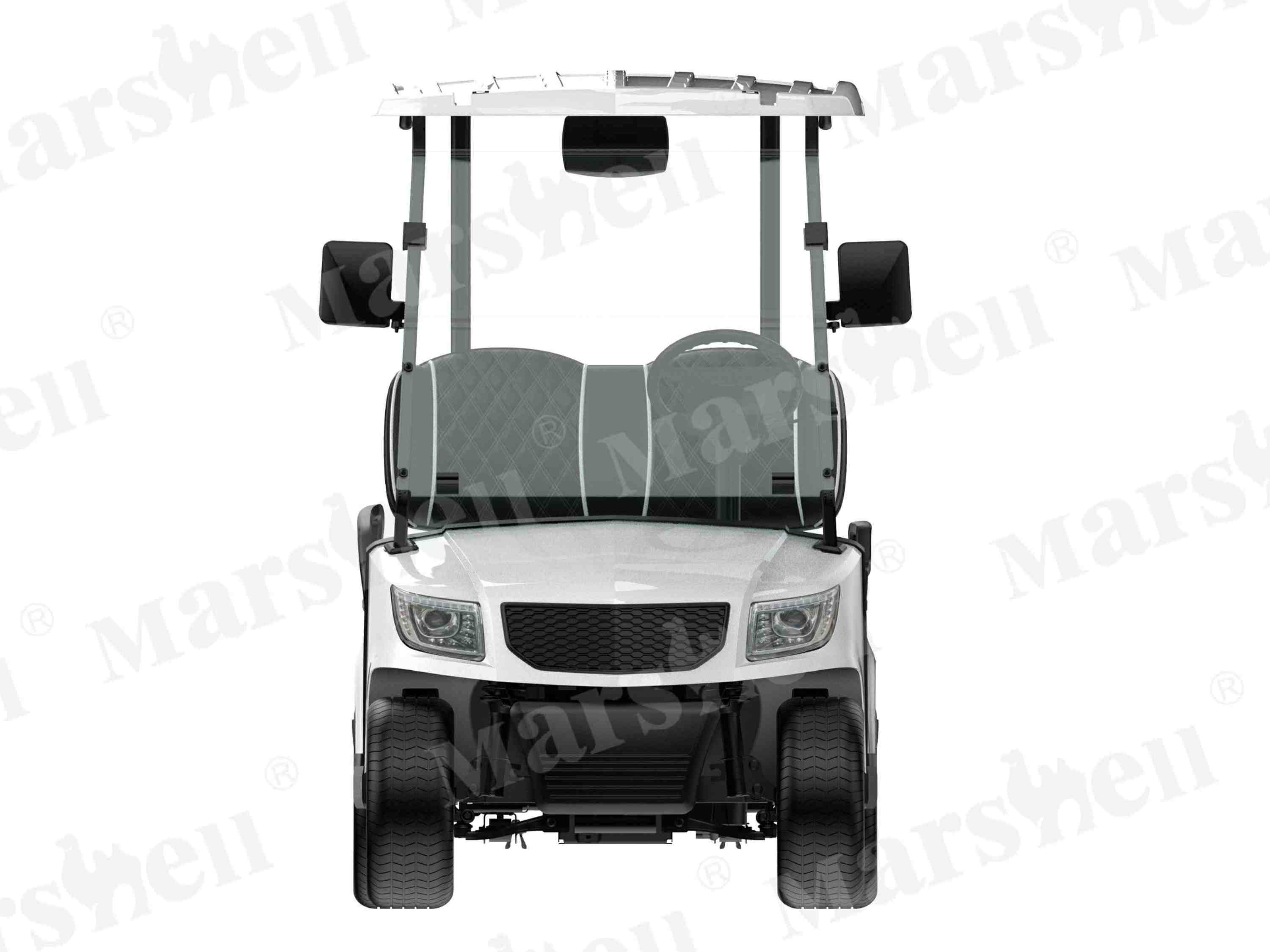 DG-M2 2-Seat Electric Golf Cart